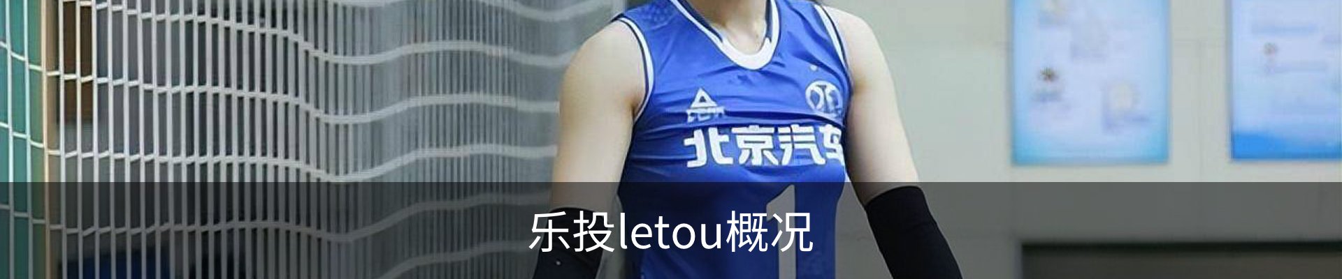 乐投letou概况